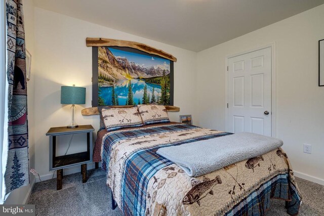 147 Fishermans Ln, Luray, VA 22835 - carpeted bedroom featuring baseboards