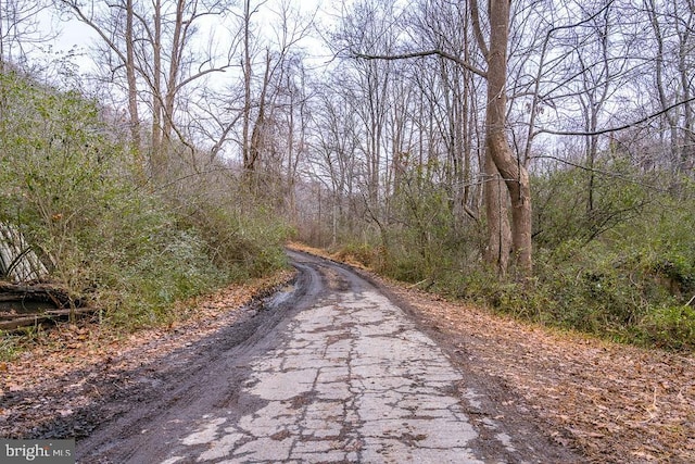 1121 Monacan Trail Rd, Charlottesville, VA 22903 - view of road featuring a forest view