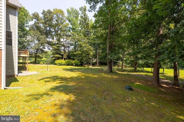 9937 Talley Rd, Spotsylvania, VA 22553 - view of grassy yard