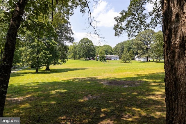 9937 Talley Rd, Spotsylvania, VA 22553 - view of green lawn