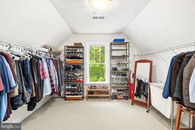 9937 Talley Rd, Spotsylvania, VA 22553 - spacious closet with carpet flooring and lofted ceiling