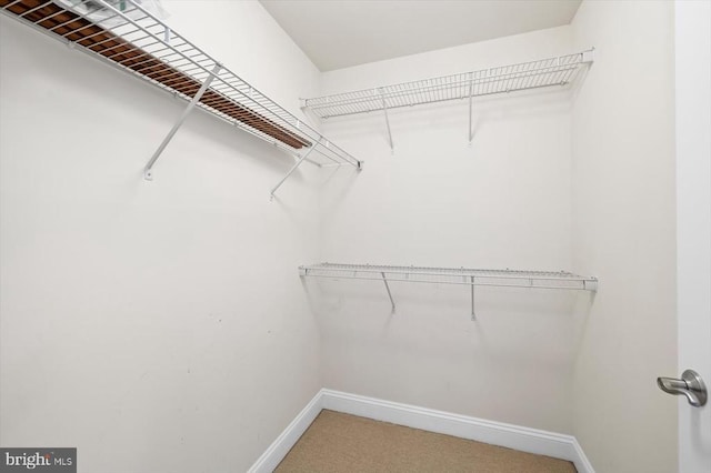 9937 Talley Rd, Spotsylvania, VA 22553 - spacious closet with carpet floors