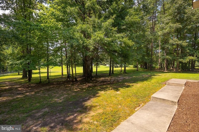 9937 Talley Rd, Spotsylvania, VA 22553 - view of grassy yard
