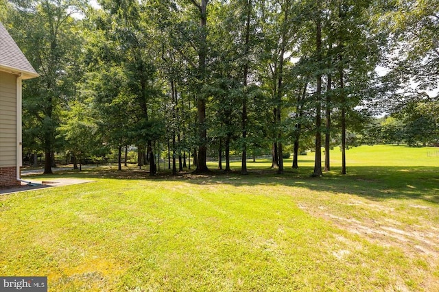 9937 Talley Rd, Spotsylvania, VA 22553 - view of grassy yard