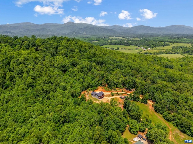 929 Poor House Farm Rd, Amherst, VA 24521 - photo 5