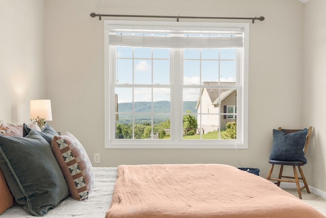 21 Upland Ct, Stuarts Draft, VA 24477 - bedroom with multiple windows, carpet flooring, and a mountain view