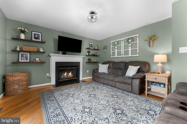  - living area featuring wood finished floors and a fireplace with flush hearth