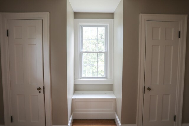 844 Lyndhurst Rd, Waynesboro, VA 22980 - mudroom featuring plenty of natural light