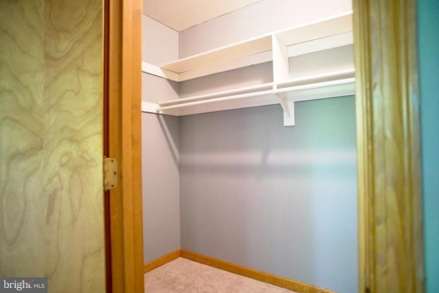 107 Birchside Cir, Locust Grove, VA 22508 - view of closet
