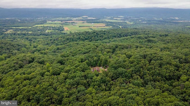 159 Park View Ln, Shenandoah, VA 22849 - aerial view of a heavily wooded area