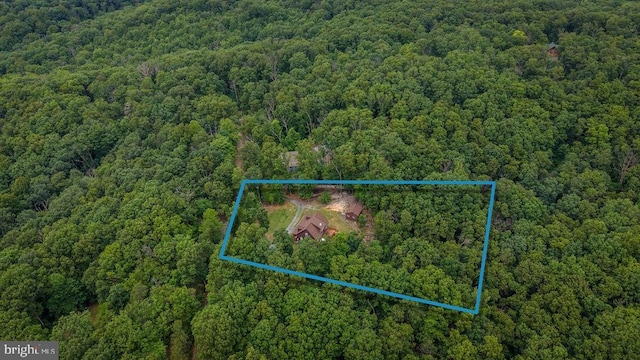 159 Park View Ln, Shenandoah, VA 22849 - aerial overview of property's location with a forest and property parcel outlined