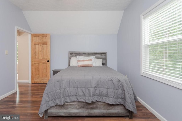 159 Park View Ln, Shenandoah, VA 22849 - bedroom featuring vaulted ceiling and wood finished floors