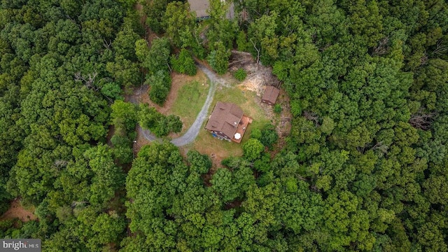 159 Park View Ln, Shenandoah, VA 22849 - aerial view of property's location