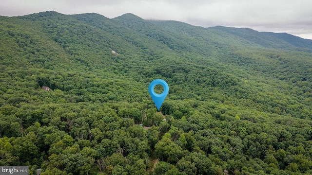 159 Park View Ln, Shenandoah, VA 22849 - drone / aerial view of a heavily wooded area and a mountainous background