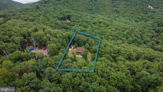 159 Park View Ln, Shenandoah, VA 22849 - aerial view of property and surrounding area featuring a heavily wooded area and property boundaries highlighted