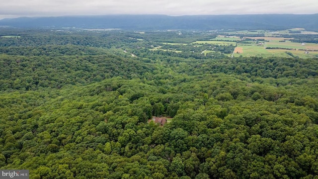 159 Park View Ln, Shenandoah, VA 22849 - bird's eye view of a forest