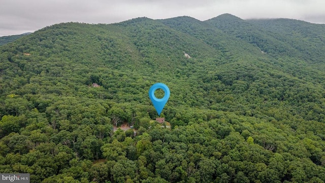 159 Park View Ln, Shenandoah, VA 22849 - view of mountain background featuring a heavily wooded area