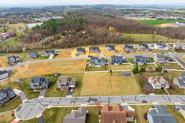 3190 Henry Grant Hl, Rockingham, VA 22801