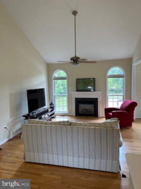 living room featuring vaulted ceiling, light hardwood / wood-style floors, and a healthy amount of sunlight