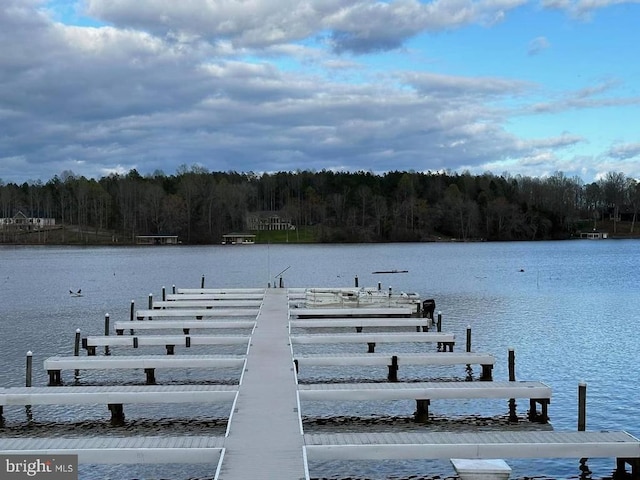 dock area with a water view