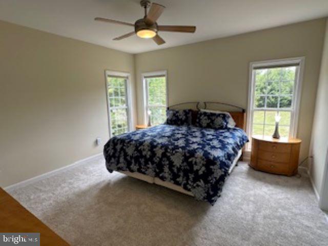 carpeted bedroom featuring multiple windows and ceiling fan