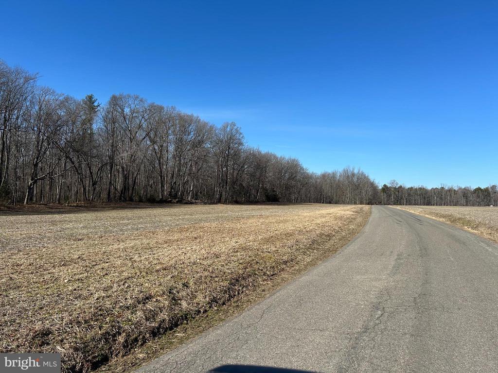 0 Hopeful Church Rd, Bumpass, VA 23024 - photo 2