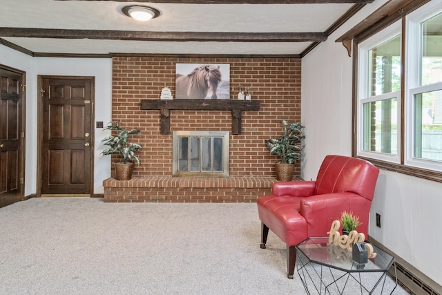 2822 Plantation Ln, Waynesboro, VA 22980 - photo 18