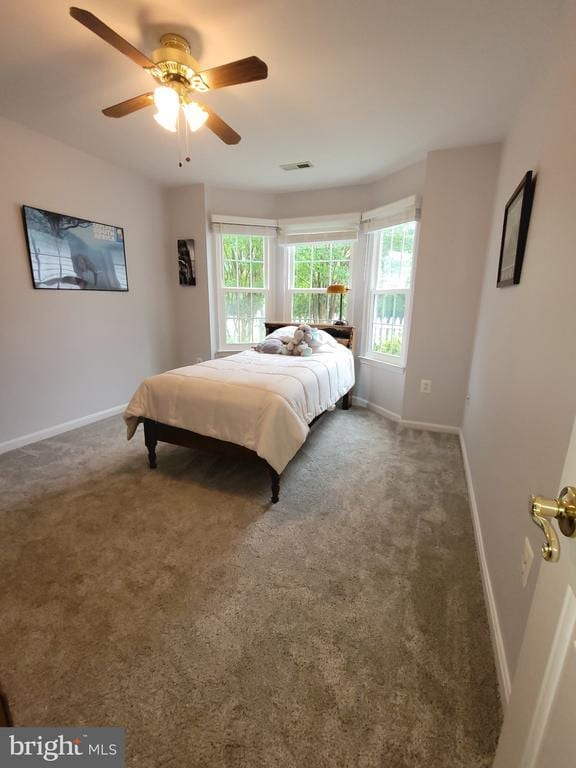 11611 Hampshire Ct, Fredericksburg, VA 22407 - bedroom featuring multiple windows, baseboards, and carpet floors