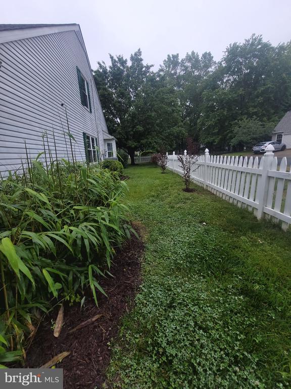 11611 Hampshire Ct, Fredericksburg, VA 22407 - view of yard