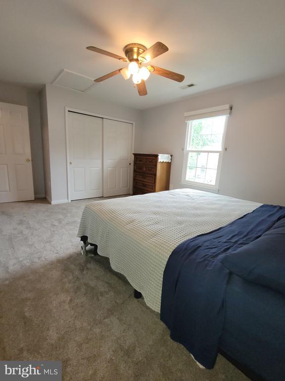 11611 Hampshire Ct, Fredericksburg, VA 22407 - bedroom featuring a closet, carpet, and ceiling fan