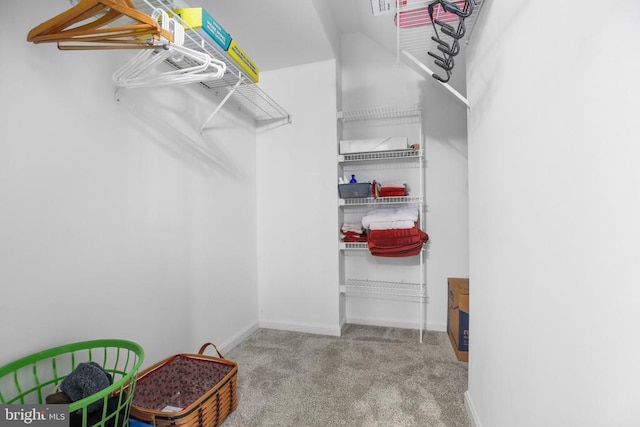 11611 Hampshire Ct, Fredericksburg, VA 22407 - walk in closet featuring carpet flooring