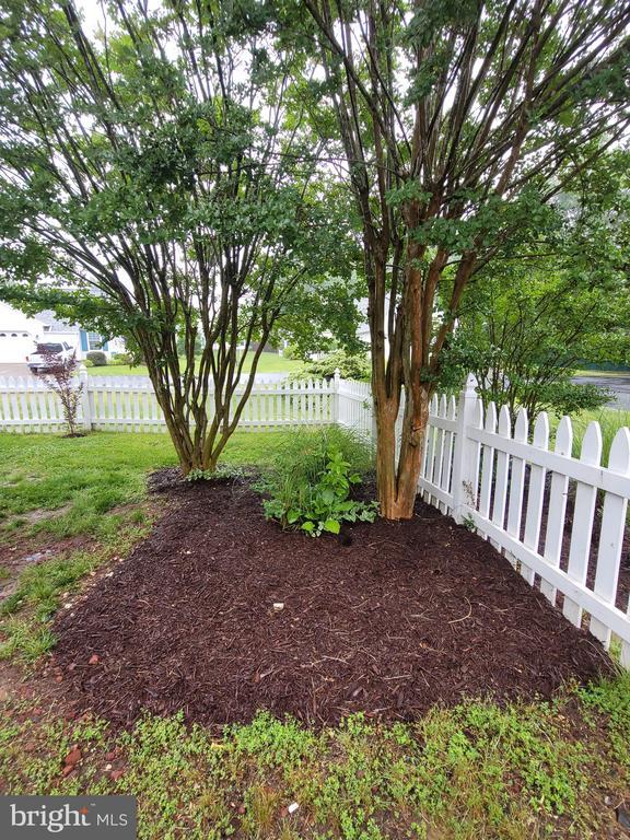 11611 Hampshire Ct, Fredericksburg, VA 22407 - view of yard