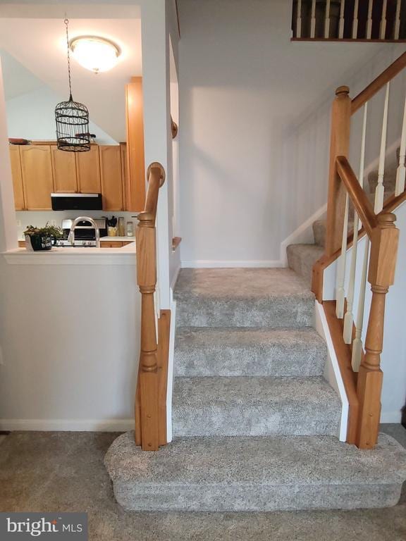 11611 Hampshire Ct, Fredericksburg, VA 22407 - stairway with carpet flooring and baseboards