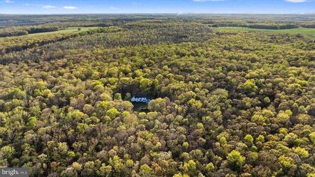 13037 Orange Plank Rd, Locust Grove, VA 22508 - photo 71