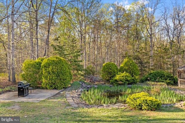 13037 Orange Plank Rd, Locust Grove, VA 22508 - photo 67