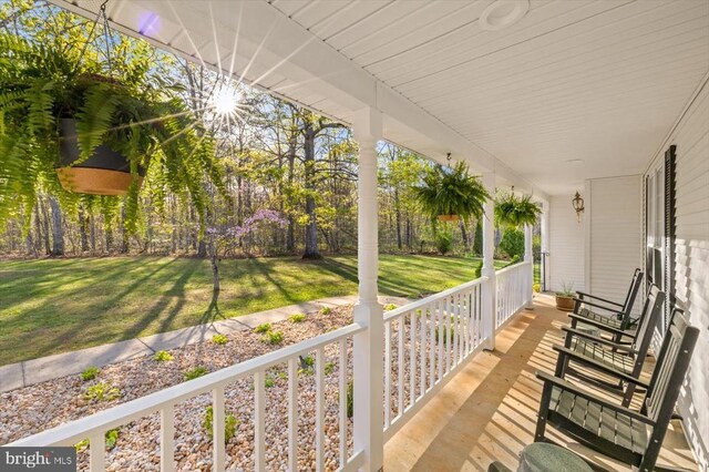 13037 Orange Plank Rd, Locust Grove, VA 22508 - photo 13