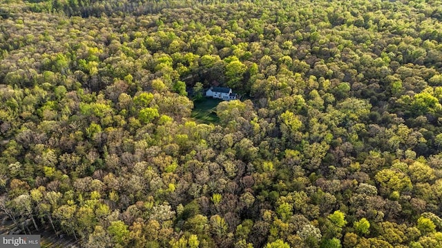 13037 Orange Plank Rd, Locust Grove, VA 22508 - photo 72