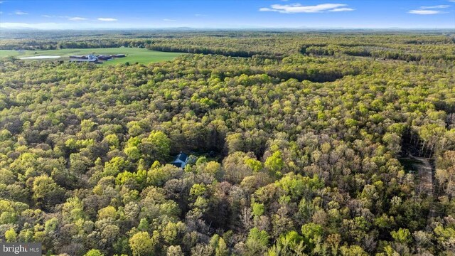13037 Orange Plank Rd, Locust Grove, VA 22508 - photo 70