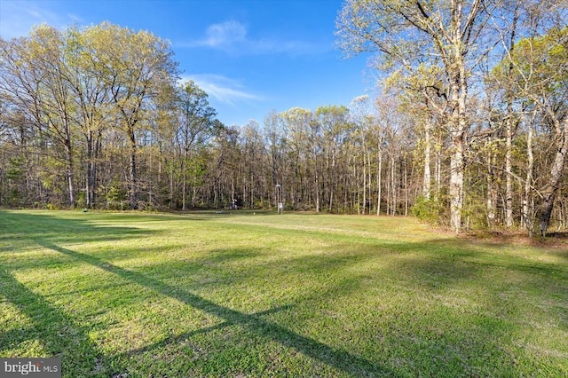 13037 Orange Plank Rd, Locust Grove, VA 22508 - photo 69