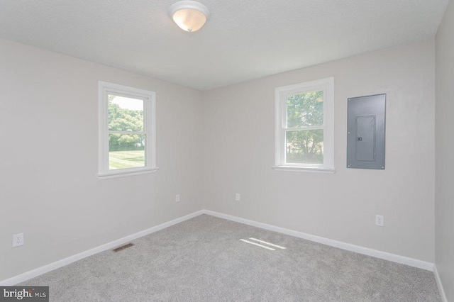 1678 Piney Hill Rd, Luray, VA 22835 - photo 17