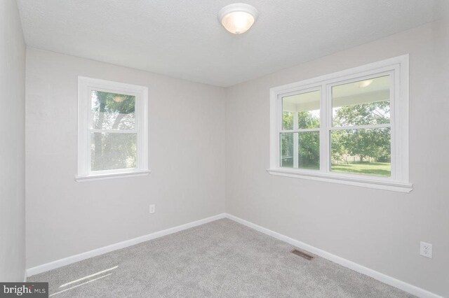 1678 Piney Hill Rd, Luray, VA 22835 - photo 20