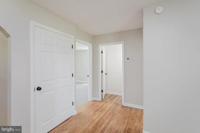 1678 Piney Hill Rd, Luray, VA 22835 - photo 15