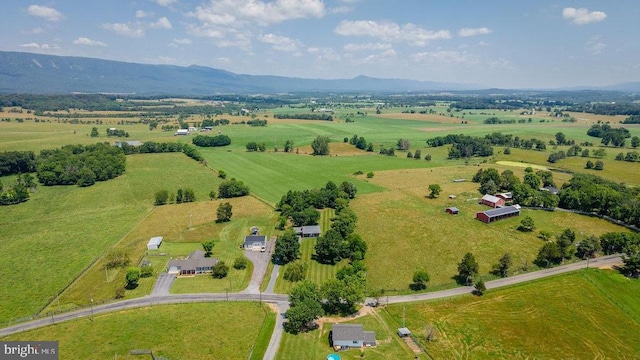 1678 Piney Hill Rd, Luray, VA 22835 - photo 53