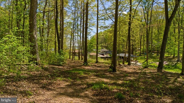 2937 Blount Dr, Bumpass, VA 23024 - photo 11