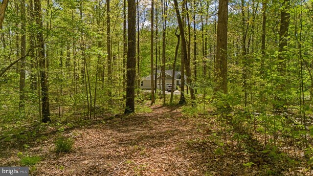 2937 Blount Dr, Bumpass, VA 23024 - photo 9
