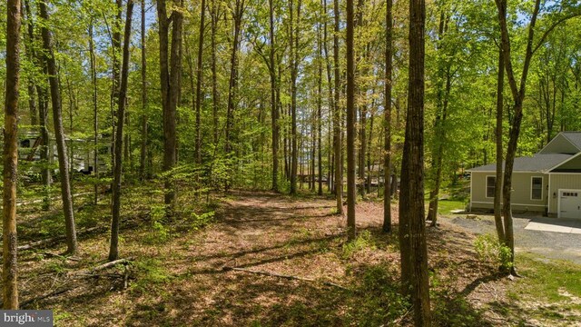 2937 Blount Dr, Bumpass, VA 23024 - photo 8