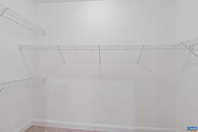 75 Cottage Ct, Zion Crossroads, VA 22942 - view of spacious closet