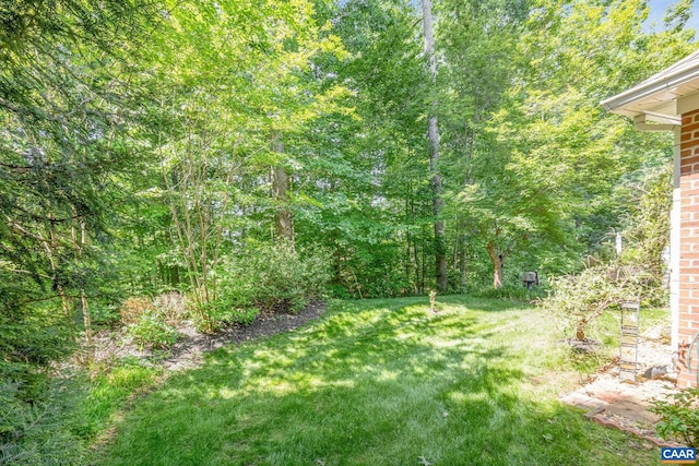 75 Cottage Ct, Zion Crossroads, VA 22942 - view of grassy yard