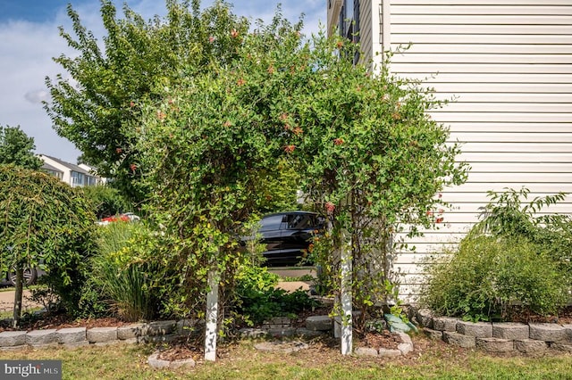 4714 Colonnade Way, Fredericksburg, VA 22408 - photo 41
