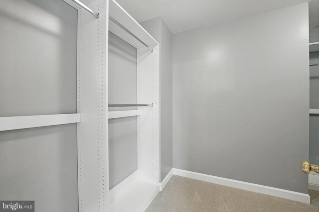 538 Colony Ct, Warrenton, VA 20186 - walk in closet with carpet flooring